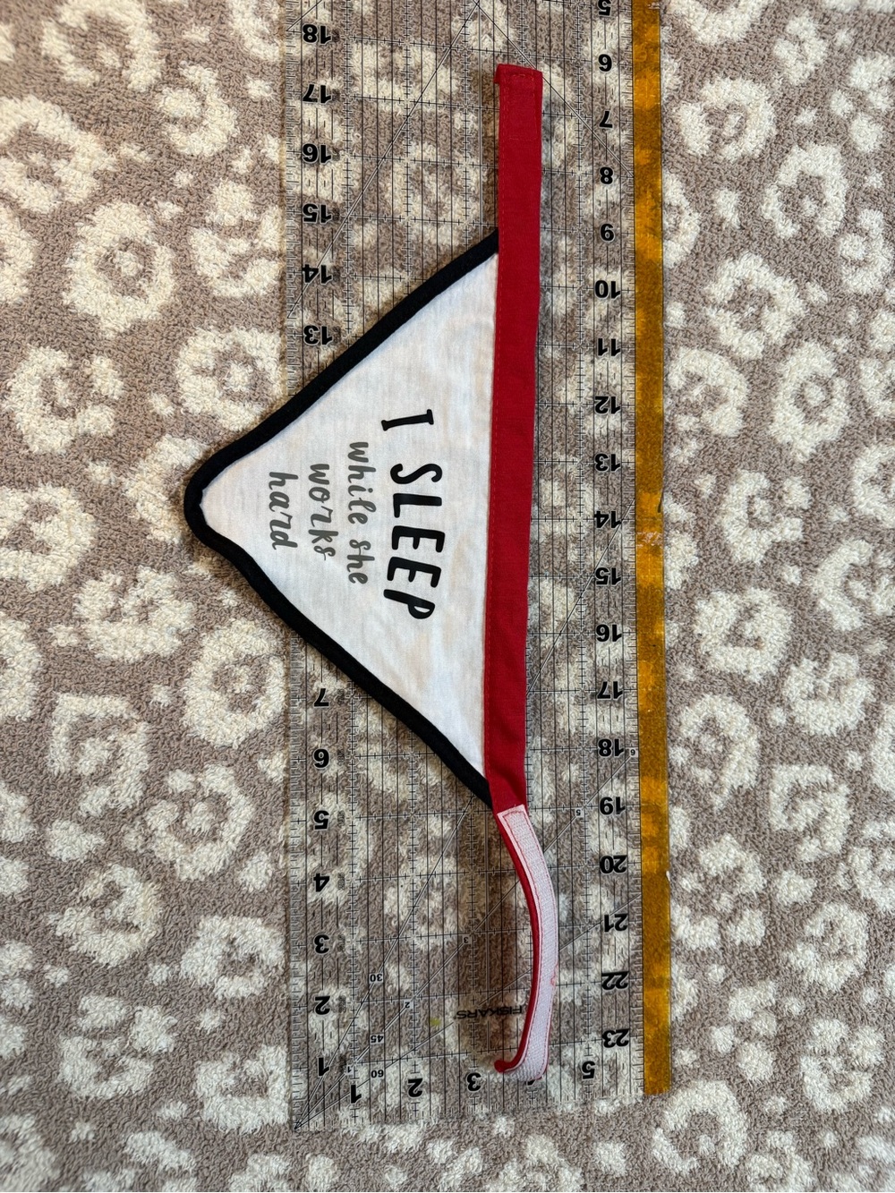 Dog Bandana - White with Red and Black Trim
